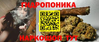 молекула духа Пенза