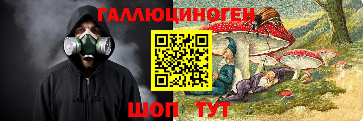 Светлоград  Галлюциногенные грибы MAGIC MUSHROOMS  Галлюциногенные грибы MAGIC MUSHROOMS  Вход с VPN 